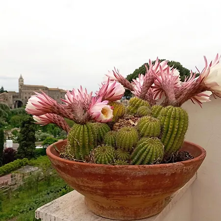 Le Petit Relais Alojamento de Acomodação e Pequeno-almoço 4*