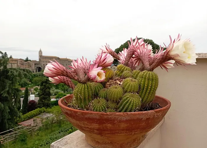 Le Petit Relais Bed and Breakfast 4*